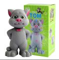 Talking Cat toy for kids. 