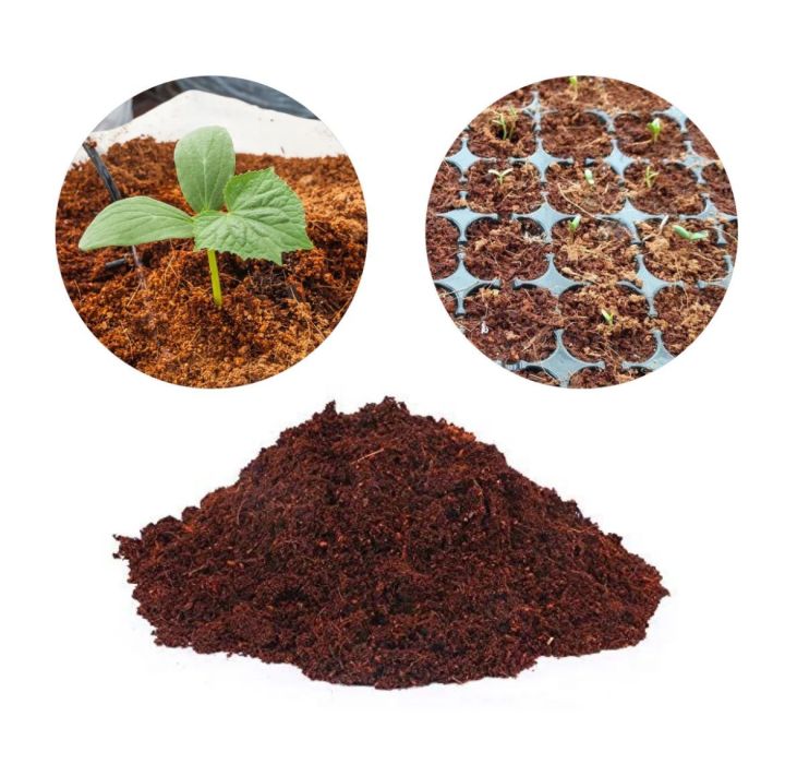 10 kg coco peat - eco friendly soil amendment