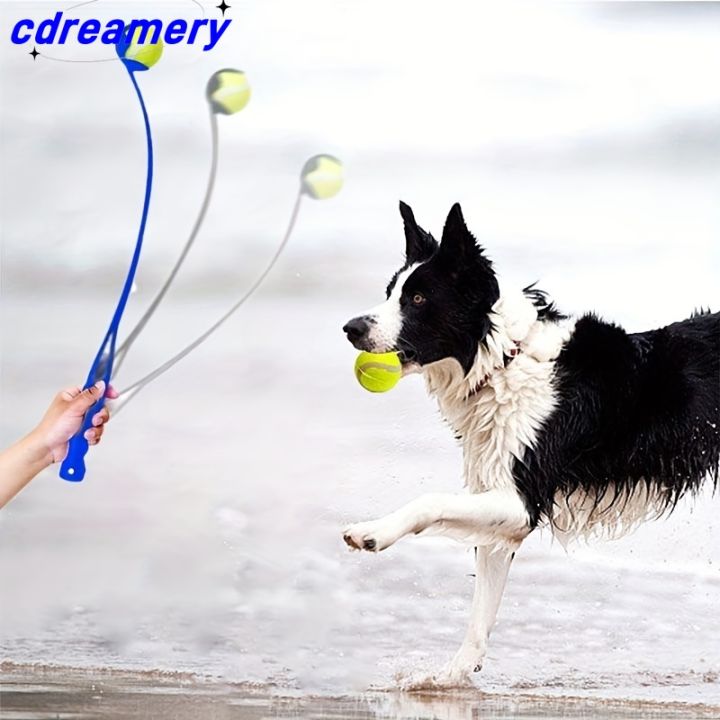 CDY%20Tennis%20Ball%20Launcher%20Stick%20-%20Interactive%20Outdoor%20Dog%20Training%20Toy,%20Durable%20Ball%20Thrower%20for%20Canine%20Exercise%20and%20Play%20Trainin%20-%20Image%205