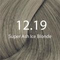 Eazicolor 12.19 Super Ash Ice Blonde Eazicolor Professional Permanent Hair Colour With Developer. 
