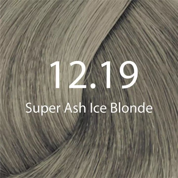 Eazicolor 12.19 Super Ash Ice Blonde Eazicolor Professional Permanent Hair Colour With Developer