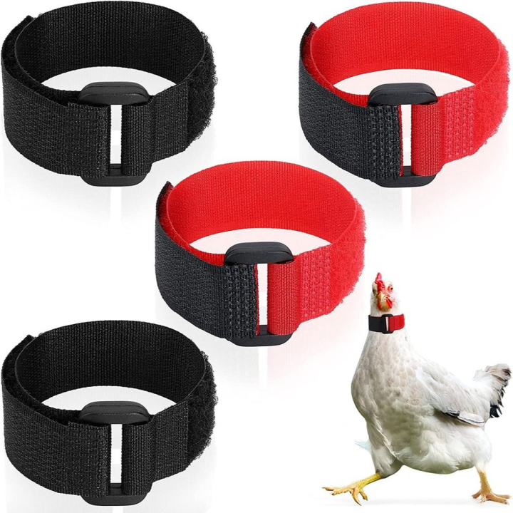 2PCS%20Chicken%20Collar%20Anti-Hook%20Noise%20Free%20Neckband%20Collars%20No%20Crow%20Rooster%20Collar%20Prevent%20Chickens%20from%20Crowing%20Supplies%20-%20Image%203
