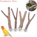 Natural Wood Pet Parrot Raw Wood Fork Tree Branch Stand Rack Squirrel Bird Hamster Branch Perches Chew Bite Toys Stick. 