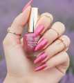 Nail paint / Emelie Premium Nail polish / Nail polish / various Nail paint colors for girls / Nails Makeup for girls. 