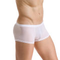 Men's Sexy Sheer U Convex Ice Silk Boxer Men Seamless Ultra-Thin Breathable Boxer Shorts Soft Comfortable Transparent Panties. 