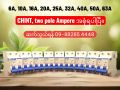 CHINT MCB 2 Pole. 
