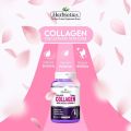 Herbiotics Collagix Collagen 750mg 30s Tablets. 