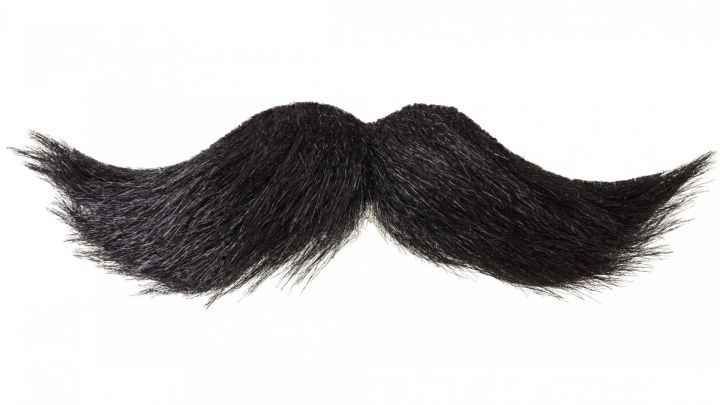 Artificial handlebar moustache for kids , stick on mustache, Artificial mustache, cheap Artificial mustache - Costume for kids