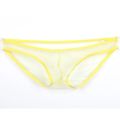Men's  Underwear Briefs Slip Soft Breathable Male Panties Net See Through Mesh Low Waist Briefs Underpants. 