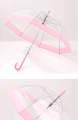 Japanese Transparent Umbrella. 