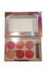 6in1 shade blusher kit for girls for every functions. 