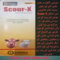 Scour X Syrip 500ml for Goat,Dog,cats,small animals and large animals . Use for dirraia. 