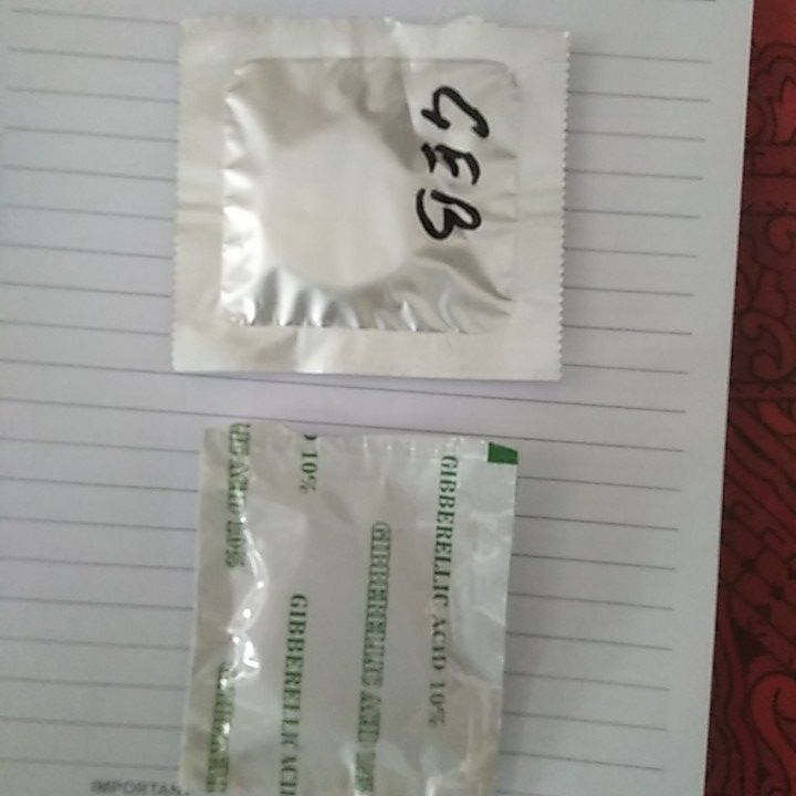 Gibberellic%20Acid%2010%25%2010%20gm%20Fertilizer%20-%20Image%205