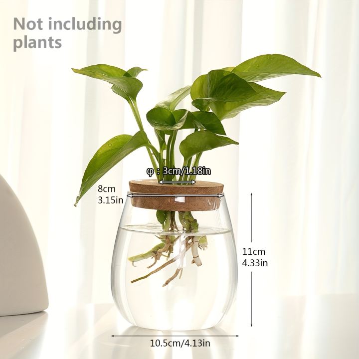 1pc,%20glass%20flowerpot%20breeding%20station%20vase%20rack%20desktop%20hydroponic%20plant%20cuttings%20office%20home%20decoration%20-%20Image%207