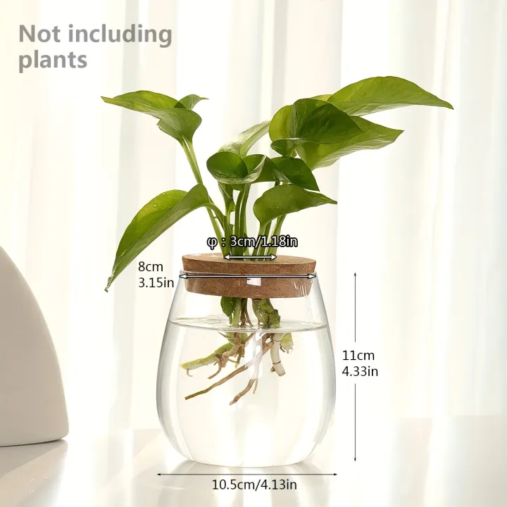 1pc,%20glass%20flowerpot%20breeding%20station%20vase%20rack%20desktop%20hydroponic%20plant%20cuttings%20office%20home%20decoration%20-%20Image%207