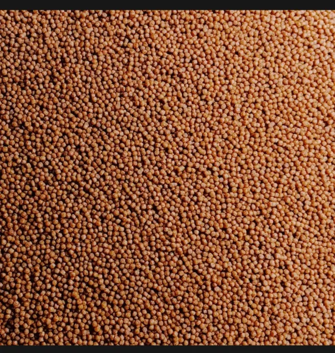 Fish%20Foods%20500gm%20highly%20nutrition%20fish%20food%20-%20Image%203