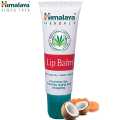 Himalaya Lip Balm Pack - 10 g. 