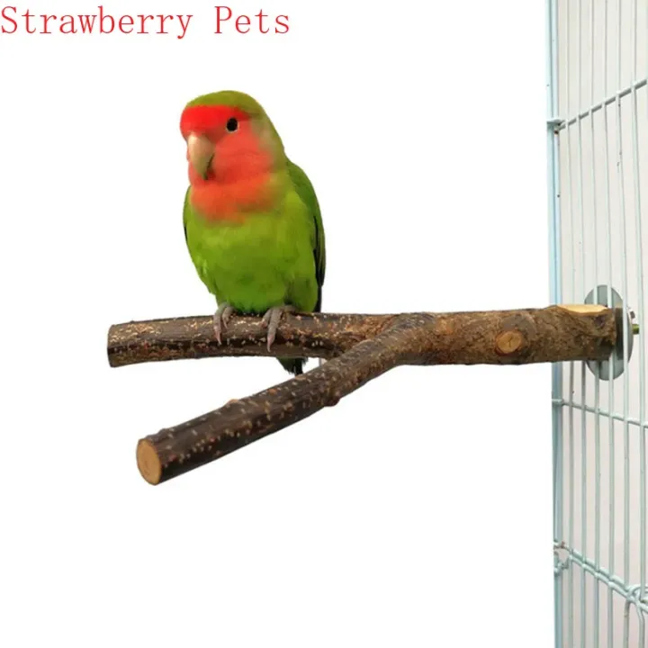Natural%20Wood%20Pet%20Parrot%20Raw%20Wood%20Fork%20Tree%20Branch%20Stand%20Rack%20Squirrel%20Bird%20Hamster%20Branch%20Perches%20Chew%20Bite%20Toys%20Stick%20-%20Image%203