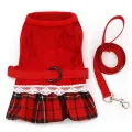 A Pet Product Fashion Festival Formal Dress Style Gold Velvet Rabbit Chest Back Set with Traction Rope. 