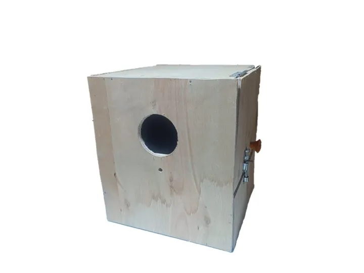 Cocatail,Ringneck,Conure Wooden Breading Box With Breding try | Daraz ...