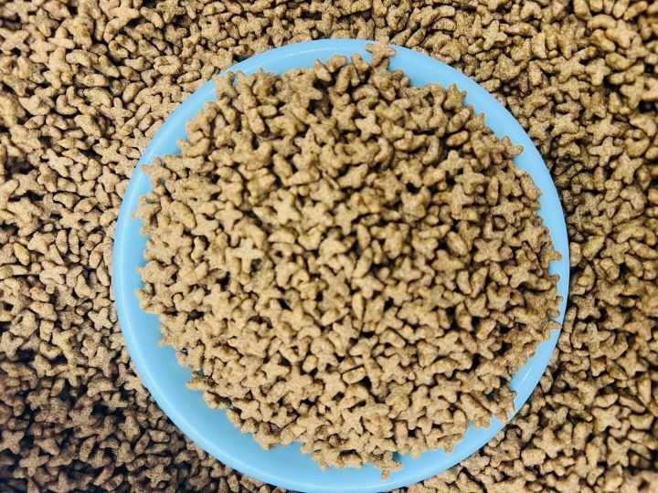1kg%20Repack%20Smartcat%20Thailand%20All%20Age%20ChickenTuna%20flavour%20catfood%20-%20Image%203