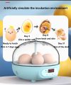 2+1 Incubator (Double Tray )
Both Eggs Tray in One Incubator ☺️

06 Chicken Eggs & 25 small Eggs. 