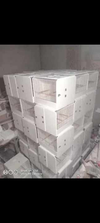 Lovebirds%20Show%20Cage%20made%20by%20PVC%20-%20Image%203