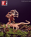 Fire Girl FG027 FG028 1/6 Alien Chestburster Facehugger Figure Model Scene Accessories Props Fit 12'' Soldier Action Figure Doll. 