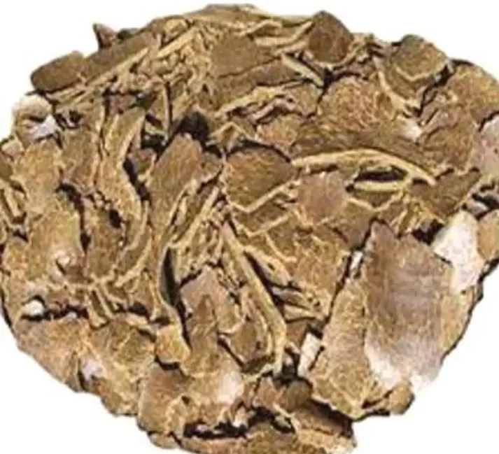 Mastard%20Cake%20Organic%20Food%20Plant(1%20kg)%20-%20Image%203