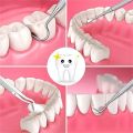 Dental Cleaning Tools Set, Medical Grade Metal Dental Hygiene Set Kit with Mouth Mirror Tartar Dental Scaler Tweezer Tooth Scraper and Metal Case for Personal, Family & Pet Oral Care Use(Pack of 6)

￼

￼

￼

￼

￼

￼

￼. 