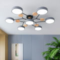 LED Chandelier with 3 Different Colors Suitable for Living Room Bedroom  Hotel apartment Study Home Decoration Indoor Lighting. 