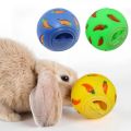 1pc Random Color Interesting Puzzle Toy Carrot Printed Ball Pet Feed Dispenser Toy Slow Feed for Small Pet Cat Rabbits Hamsters. 