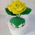 Beautiful flowers pot to put on table or living room. 