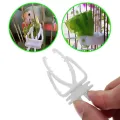 Cute Small Pet Bird Food Holder Parrot Fruits Vegetables Clip Cuttlefish Bone Feeder Device Clamp Bird Cage Accessories Oiseaux. 