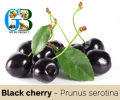 GB Organic Dried-Black-cherry. 