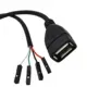 4*1Pin%20%20Motherboard%20Female%20Header%20to%20USB%202.0%20Male%20/Female%20Dupont%20Extender%20Cable%200.3m%EF%BC%9B%20-%20Image%206