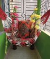 Hand Made Dulna Adult Rope Bed Hanging Dulna(Random Color ) Use For All People Large Swing Rope Bed Rattan Dulna - Dolna - dolna. 