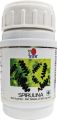 DXN Spirulina Tablets (360 Tablets)
DXN Spirulina Tablets (360Tablets). 