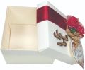 Fancy Nikkah Bid Boxes(100 pcs)  Apna Press lahore (Customized). 