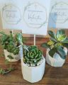Home decorative cactus vase concrete made(you will got the product according to the cart picture). 