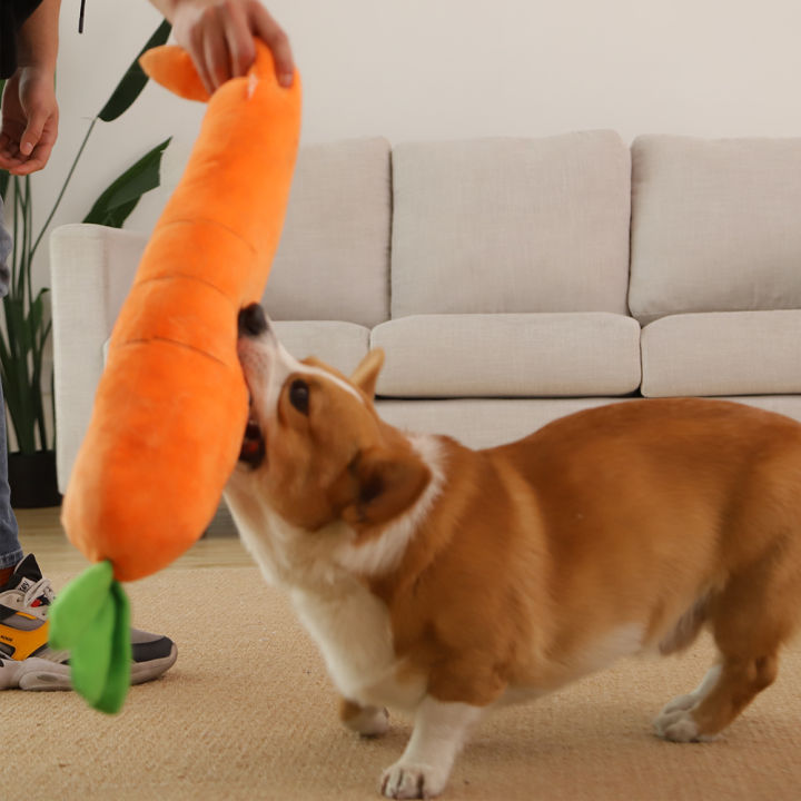 HOOPET%20Dog%20Toy%20Pet%20Carrot%20Plush%20Toy%20Vegetable%20Chew%20Toy%20for%20Small%20Medium%20Large%20Dogs%20Pet%20Sound%20Playing%20Toy%20Dog%20Accessories%20-%20Image%205