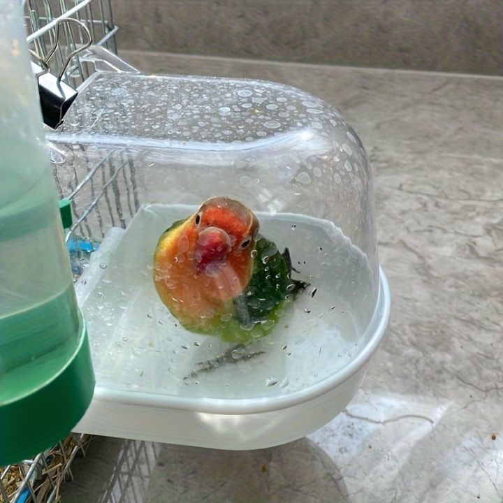 Transparent%20Bird%20Bath%20Tub%20-%20Splash-Proof%20PP%20Shower%20for%20Parrots,%20Lovebirds%20&%20Conures%20w/%20Easy-Grip%20Handle%20-%20Image%203
