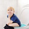 Foldable Travel Toilet Seat Cute Owl Design Portable Potty Training Seat with Travel Case for Toddlers. 