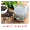 Tokma Dana Basil Seeds Pure 1kg. 