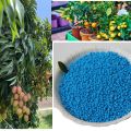 Blue Granular Fertiizer 1kg (12:12:17 Mgo+ TE) High qualitity flower fertilizer. 