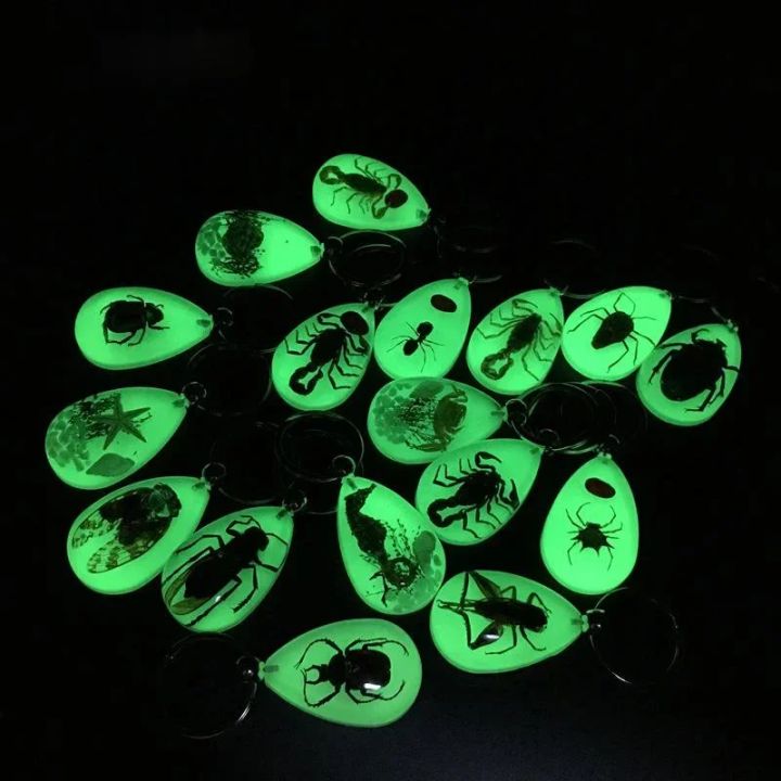 Chain Set Insect Creative Design 1PC Resin Insect Luminous Key Chain Noctilucent ...
