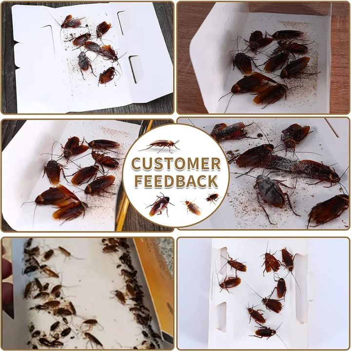 Cockroach%20Catcher%20-%20Adhesive%20Cockroach%20Trap%20Glue,%20specifically%20designed%20for%20cockroaches,%20ants,%20spiders,%20and%20other%20insects%20-%20Image%203
