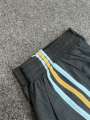 Argentina Football Embroidery Short Pant for Men Free size.
