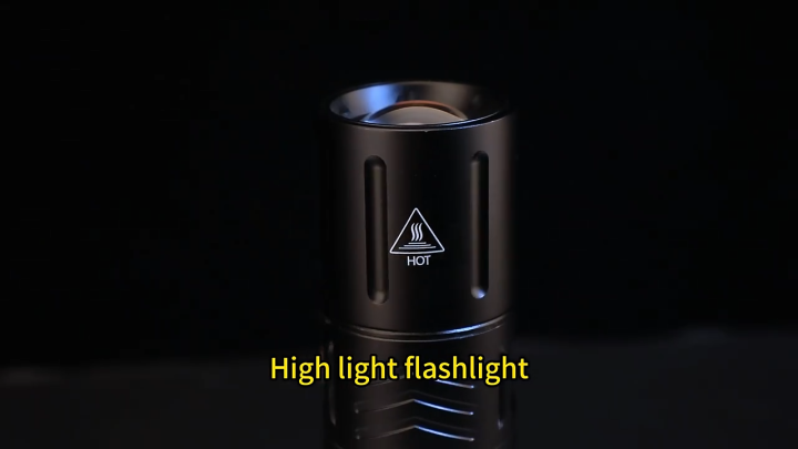 20000 mAh Japani Super Power Rechargeable Torch Light With Power Bank