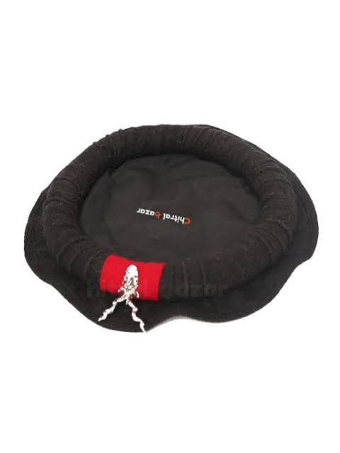 Chitrali%20Cap%20pakul%20with%20markhor%20-%20Image%202